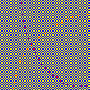 250_bicolorsx1.gif